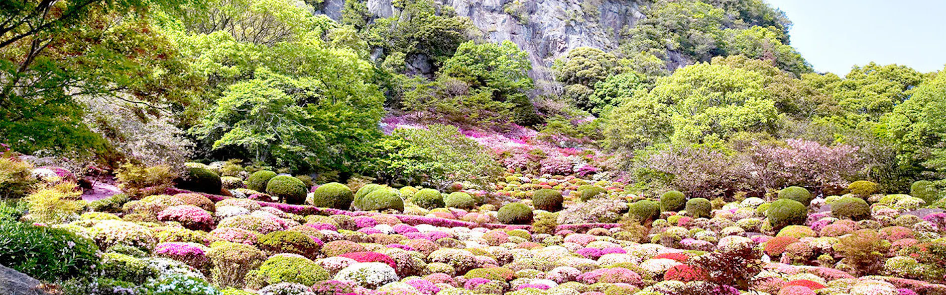 御宿 竹林亭