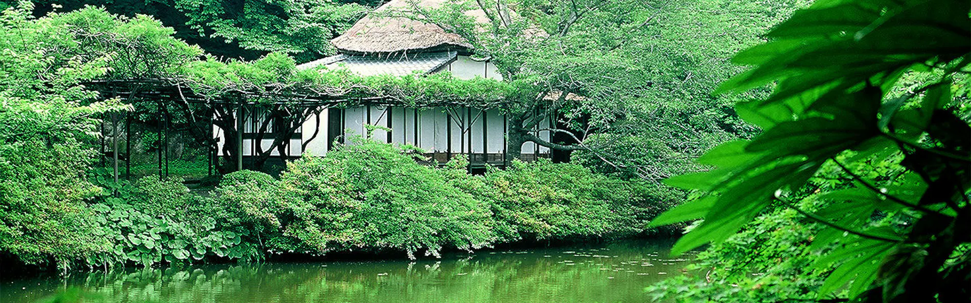 御宿 竹林亭
