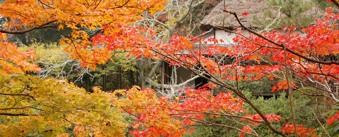 御宿　竹林亭