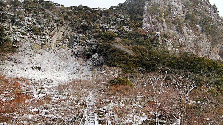 Onyado Chikurintei