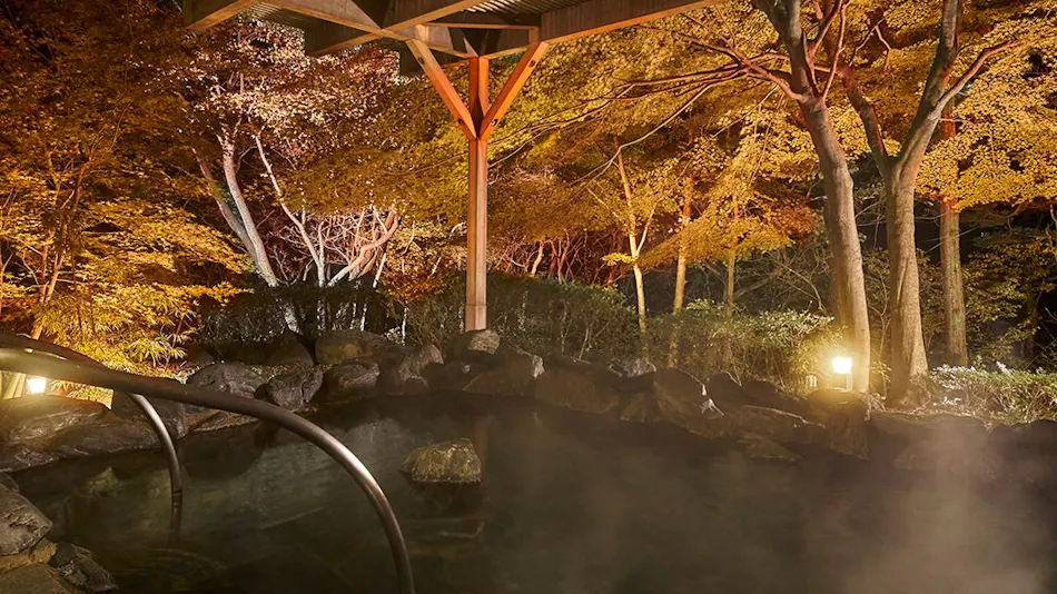 Hotel Harvest Kinugawa