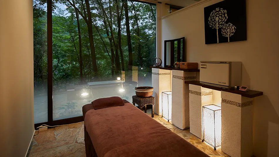 Hotel Harvest Kinugawa