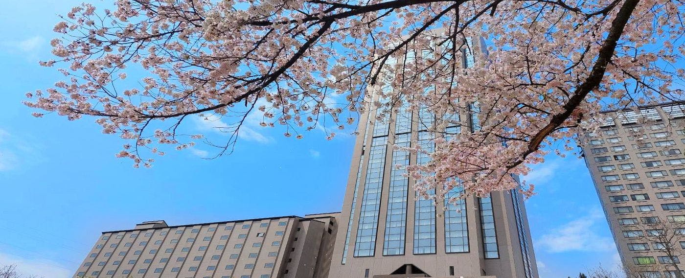 Pemandangan Musim Semi