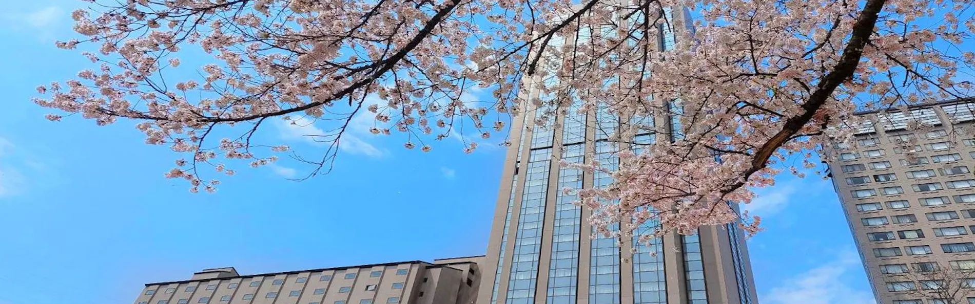 NASPAニューオータニ
