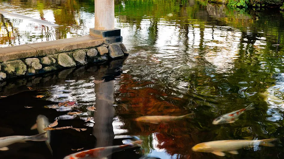 Shizukuishi Prince Hotel