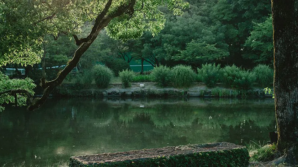 Ryokan Ohana