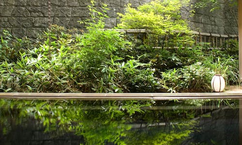 群馬県のバリアフリーのお部屋 温泉ありの おすすめホテル 旅館 宿泊予約は 一休 Com 群馬県のバリアフリーのお部屋 温泉ありの おすすめホテル 旅館 宿泊予約は 一休 Com