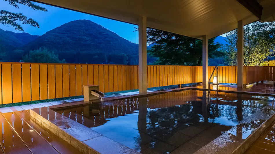 Kinugawa Onsen Ryokan Wakatake no Sho