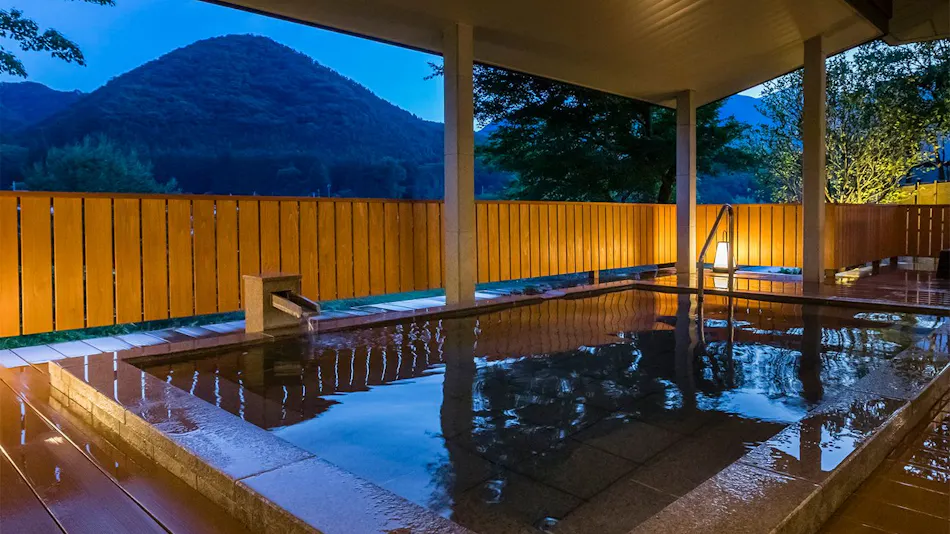 Kinugawa Onsen Ryokan Wakatake no Sho