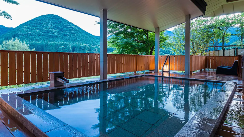 Kinugawa Onsen Ryokan Wakatake no Sho