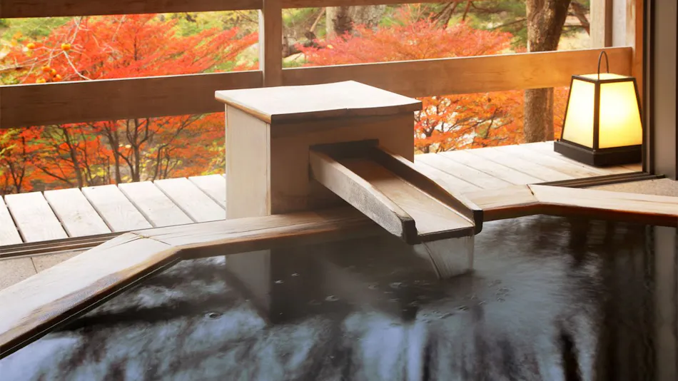 Kinugawa Onsen Ryokan Wakatake no Sho