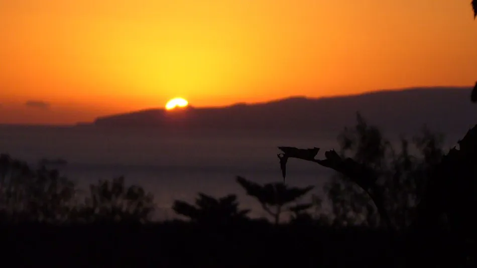 Detached Inn Yumenoya with Semi-Open-Air Baths in All Rooms
