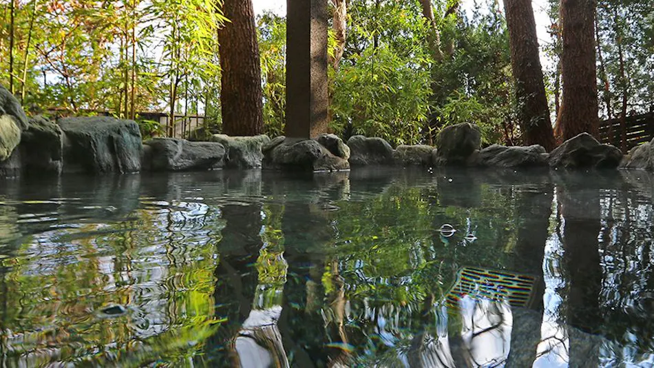 Detached Inn Yumenoya with Semi-Open-Air Baths in All Rooms
