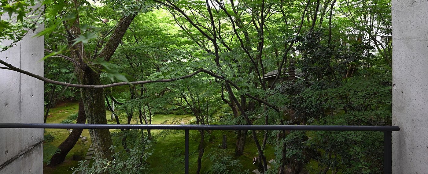 ห้องสมุดป่าไม้