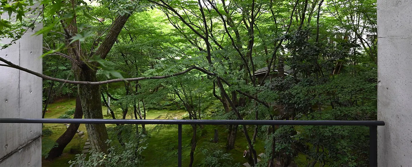 ห้องสมุดป่าไม้