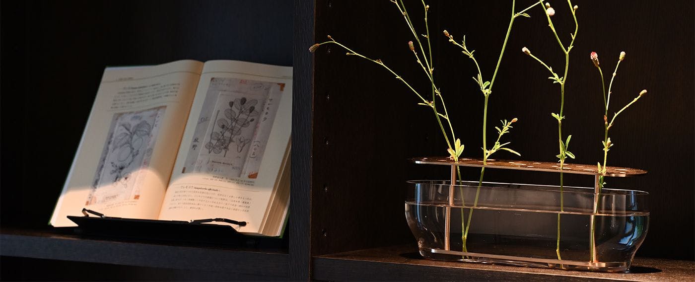 ห้องสมุดป่าไม้