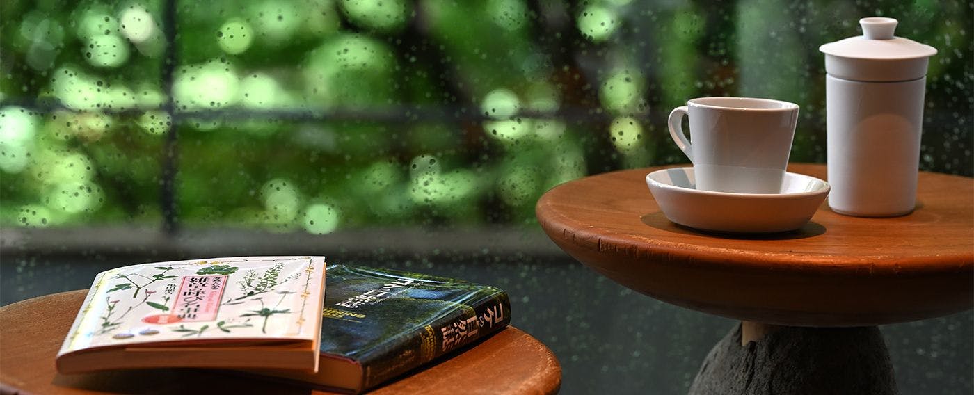 ห้องสมุดป่าไม้