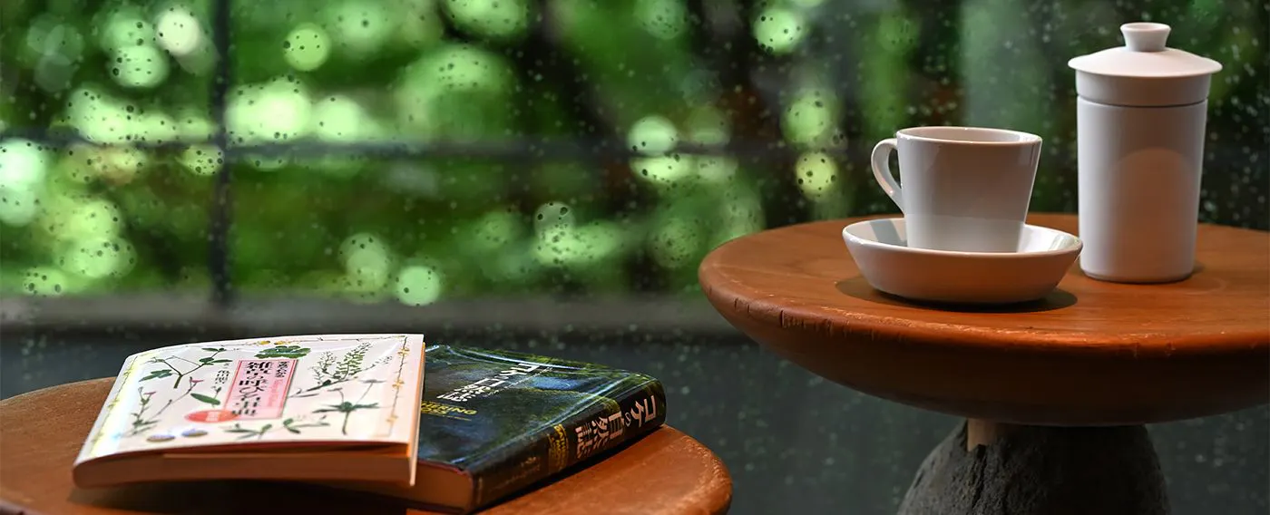 ห้องสมุดป่าไม้