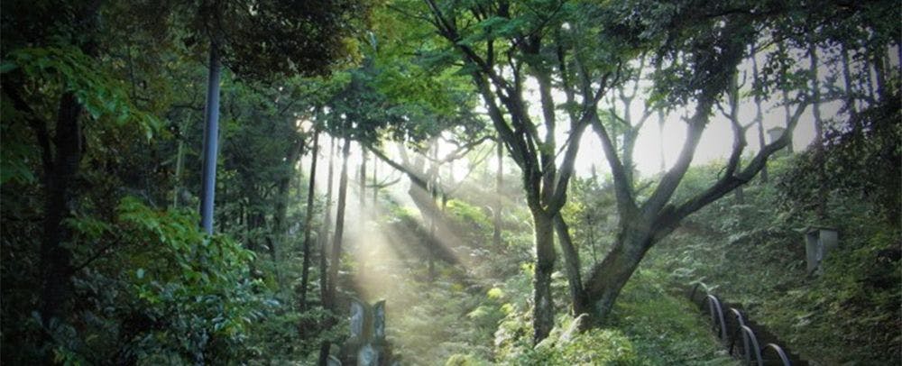 画像の内容がこちらで確認できません。翻訳する日本語本文が写っている画像（または日本語テキスト）を送ってください。