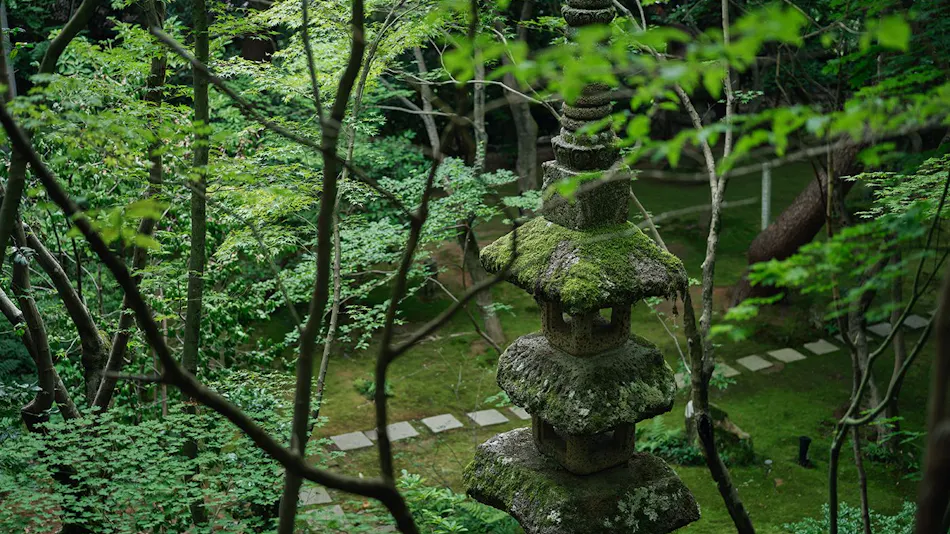 Beniya Mukayu