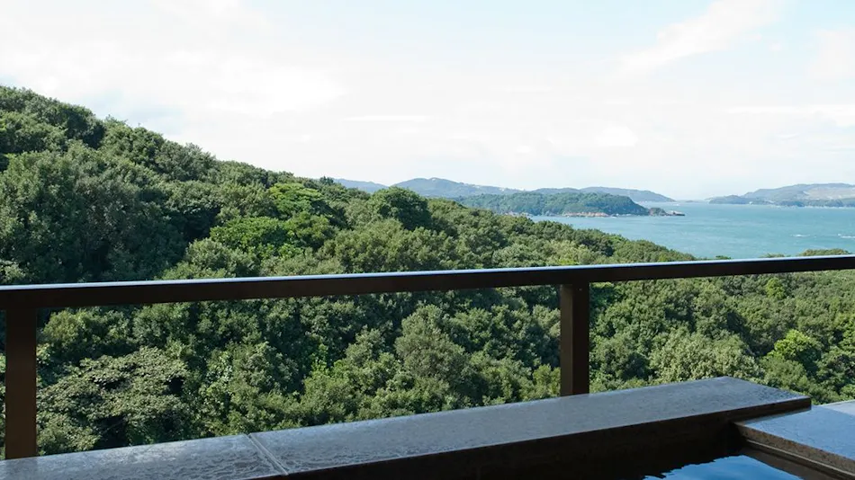 Inn of the Heart Bashinsui