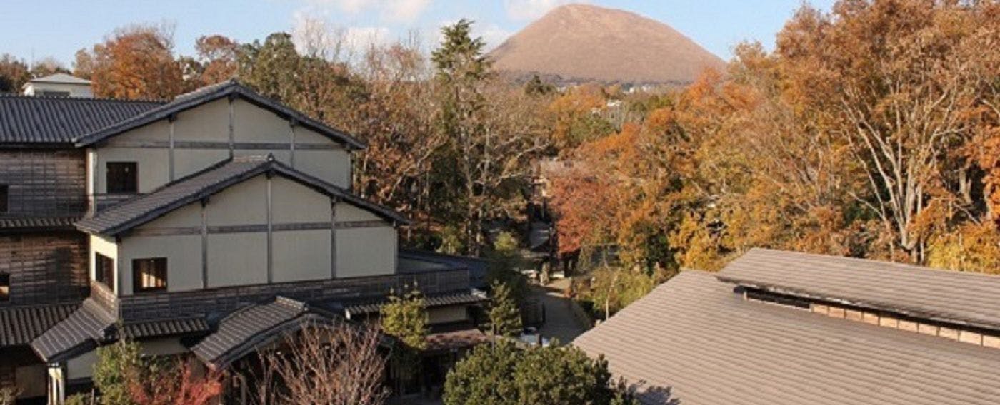 ตัวอย่างวิว