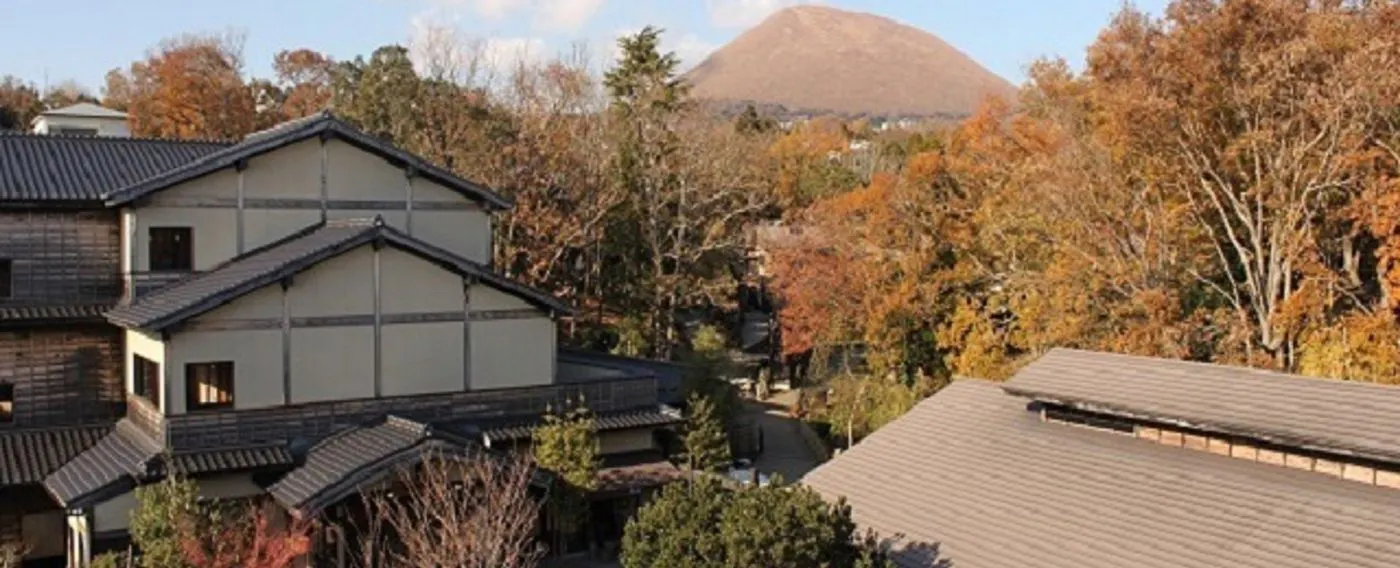 ตัวอย่างวิว