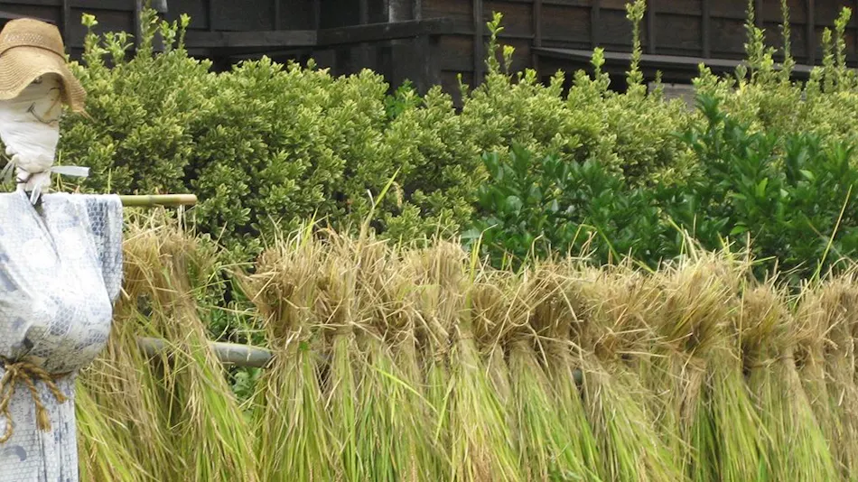 Mori no Yu Kiranosato (Kyoritsu Resort)