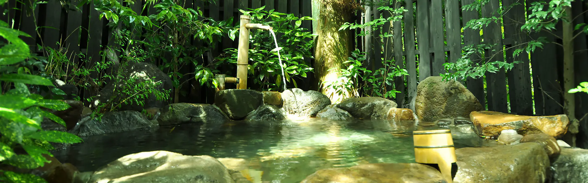 鳥遊ぶ森の宿 ふたり静