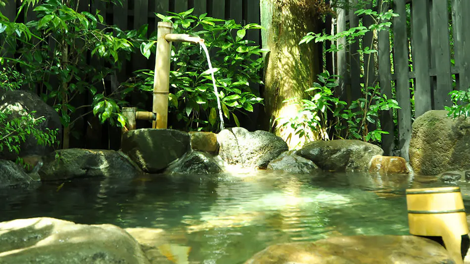 Futarishizuka: The Inn of the Forest Where Birds Play
