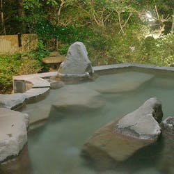 三島スカイウォーク 静岡 三島 おすすめの人気観光 お出かけスポット Yahoo トラベル 三島スカイウォーク 静岡 三島 おすすめの人気観光 お出かけスポット Yahoo トラベル