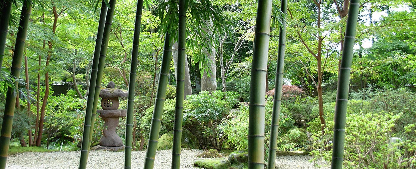 匠の宿　佳松