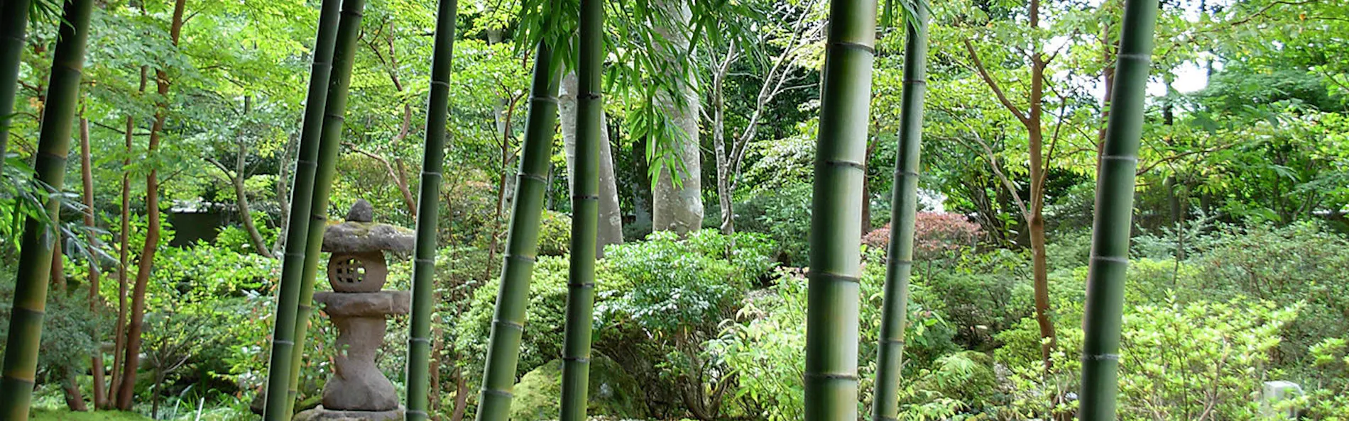 匠の宿 佳松