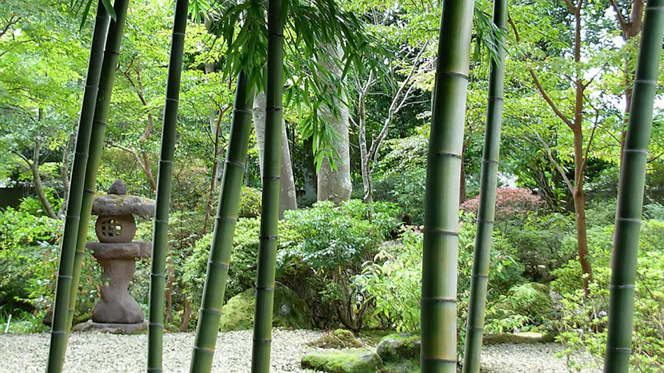 Takumi no Yado Yoshimatsu