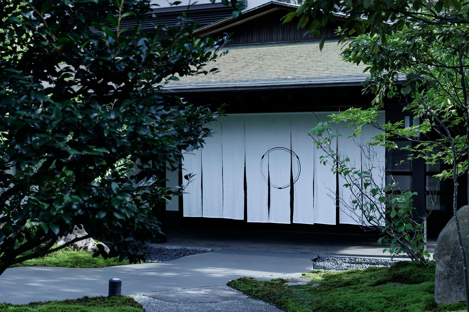 山中温泉　花紫