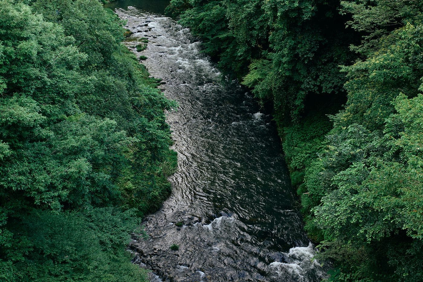 การตกแต่งภายใน