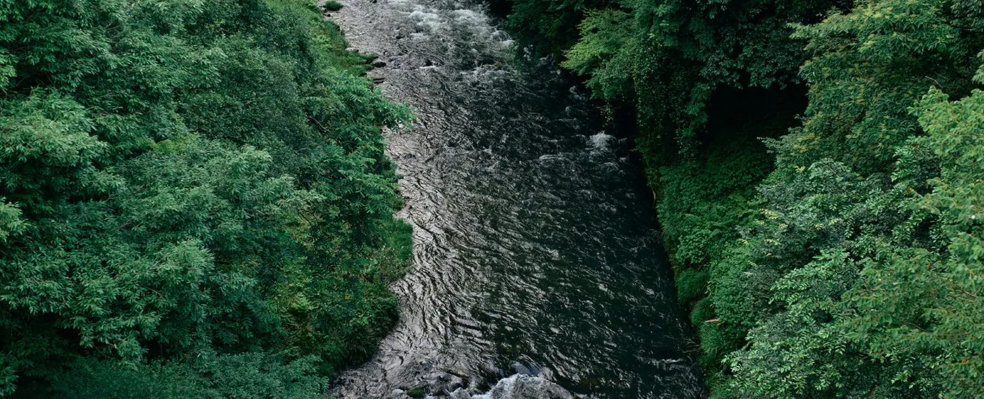 การตกแต่งภายใน