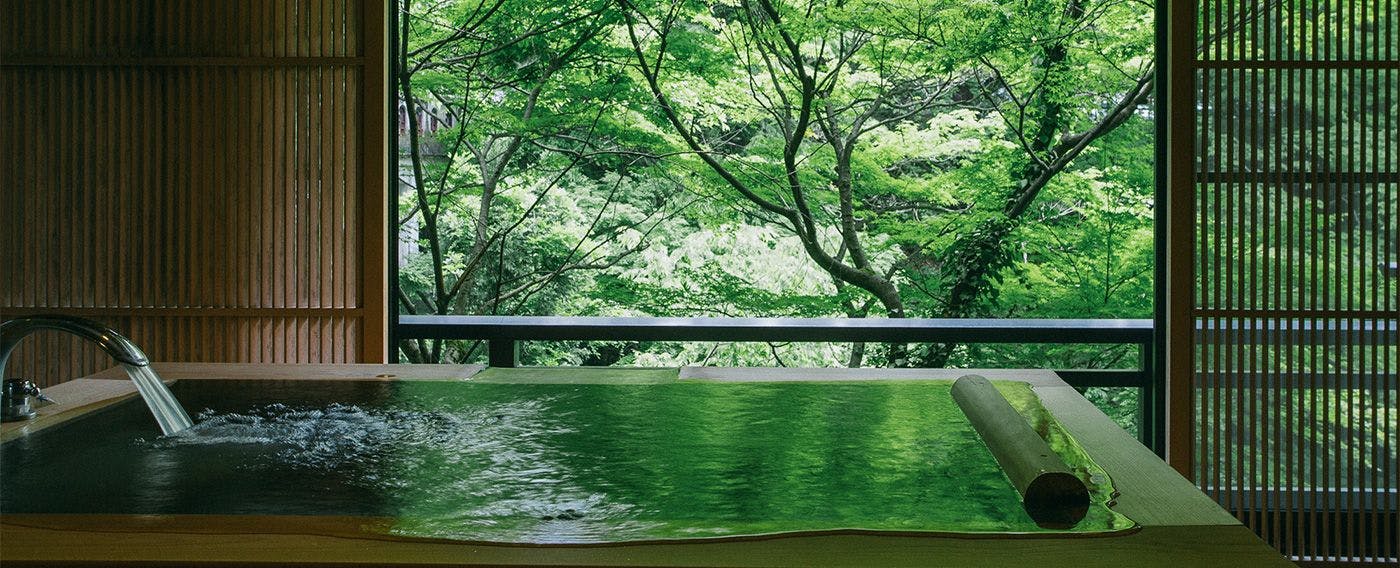 山中温泉　花紫