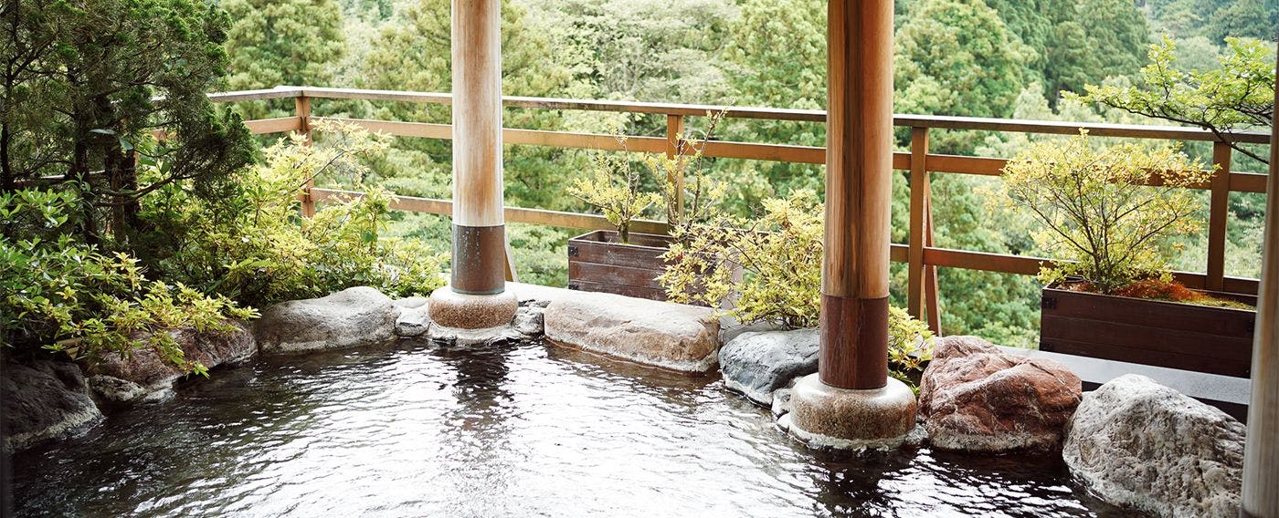 山中温泉　花紫