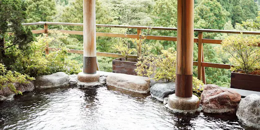 山中温泉 花紫