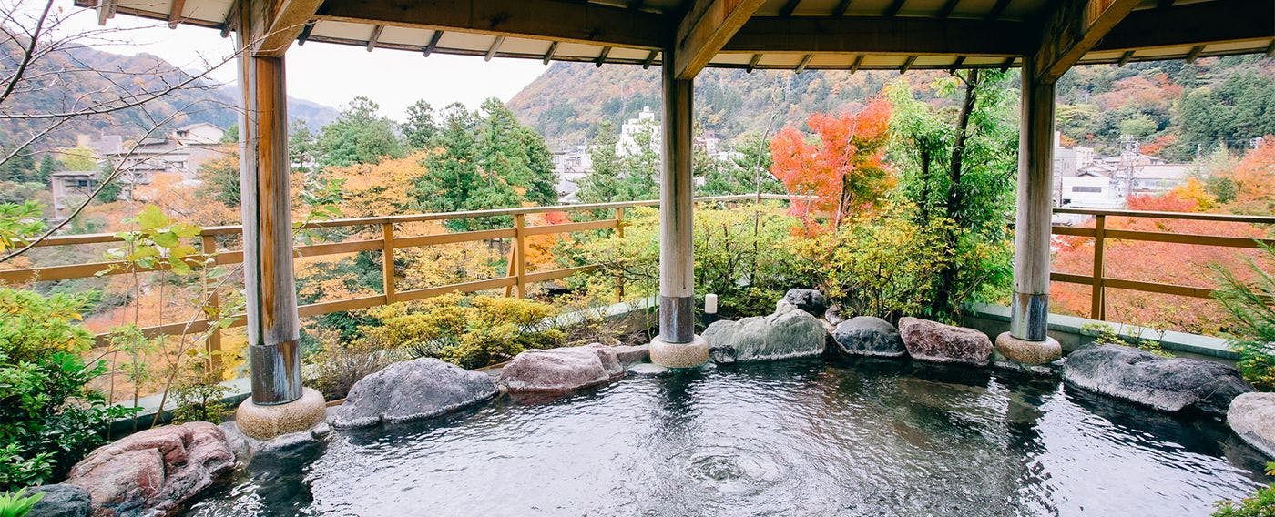 山中温泉　花紫
