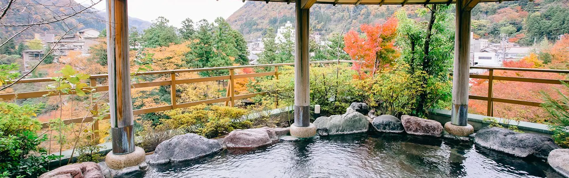 山中温泉 花紫
