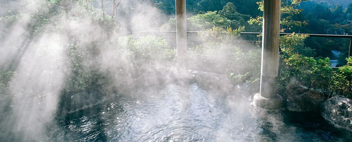 山中温泉　花紫