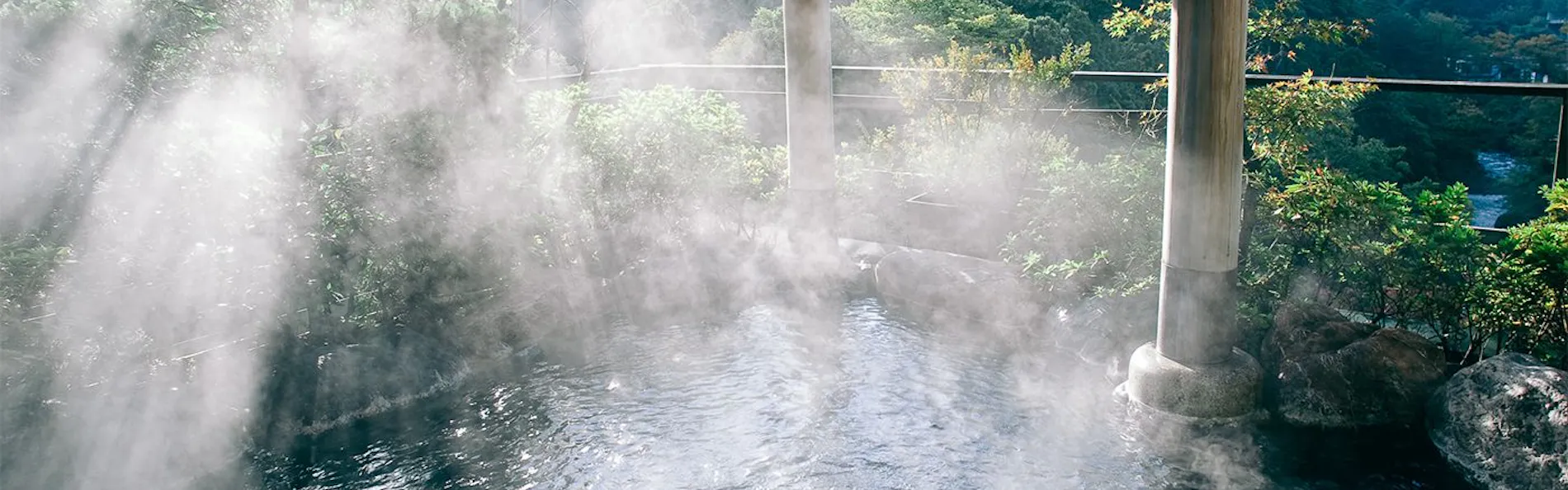 山中温泉 花紫