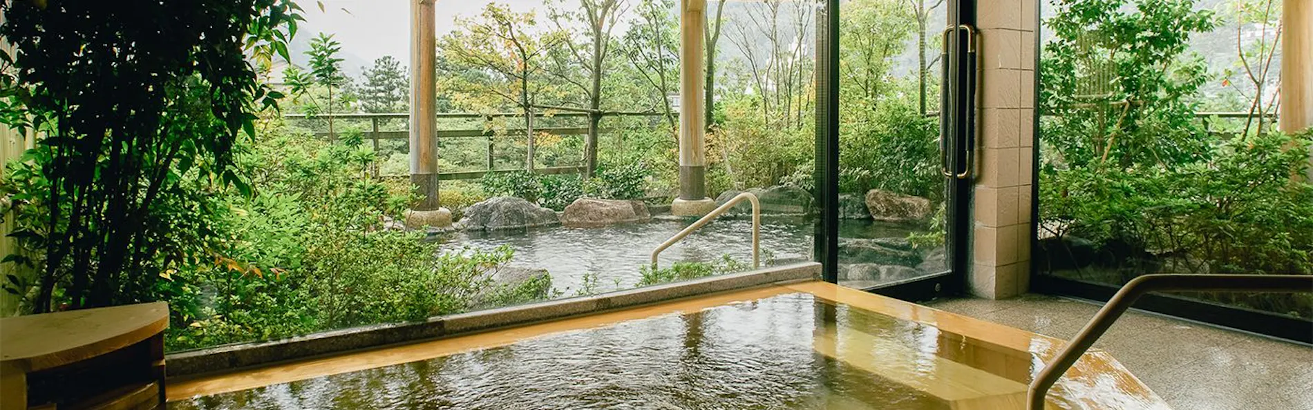 山中温泉 花紫