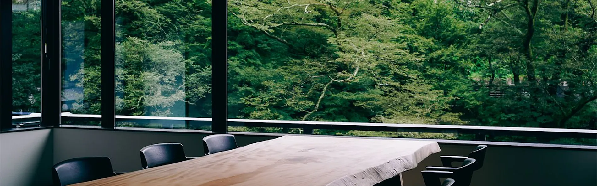山中温泉 花紫