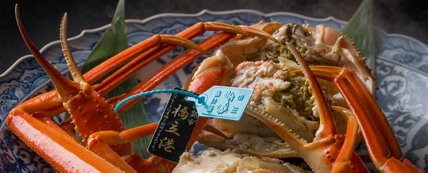 山中温泉　花紫