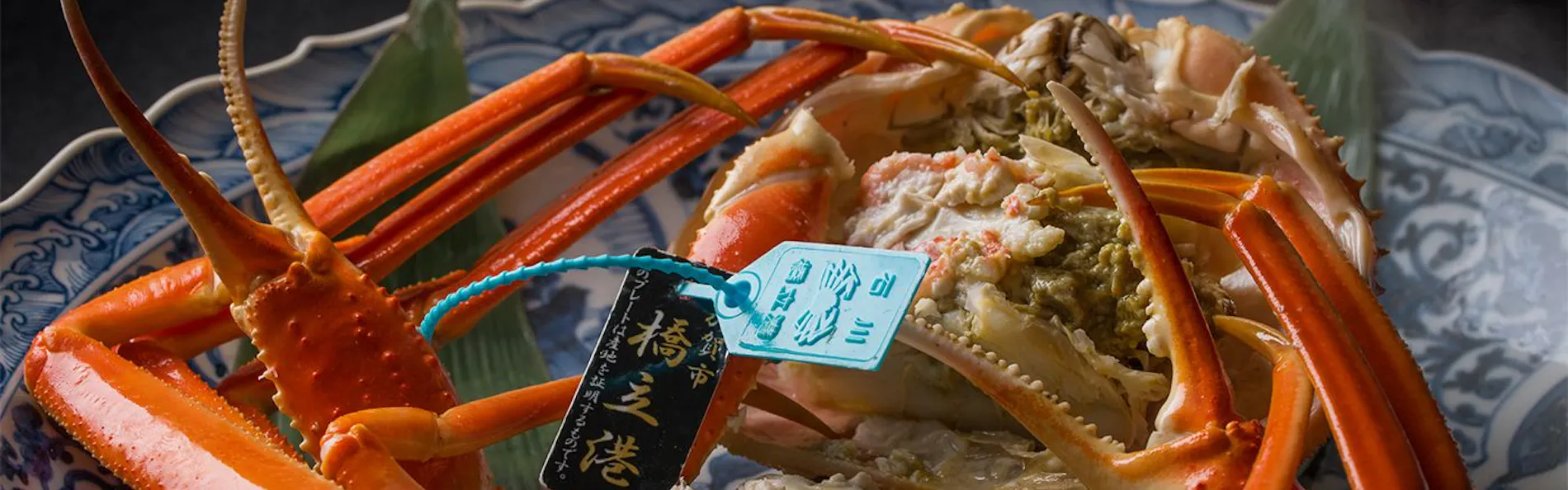 山中温泉 花紫