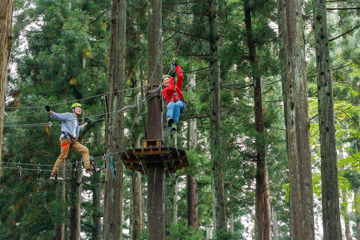Forest Aerial Athletics Alps Adventure (Paid/Reservation Required)