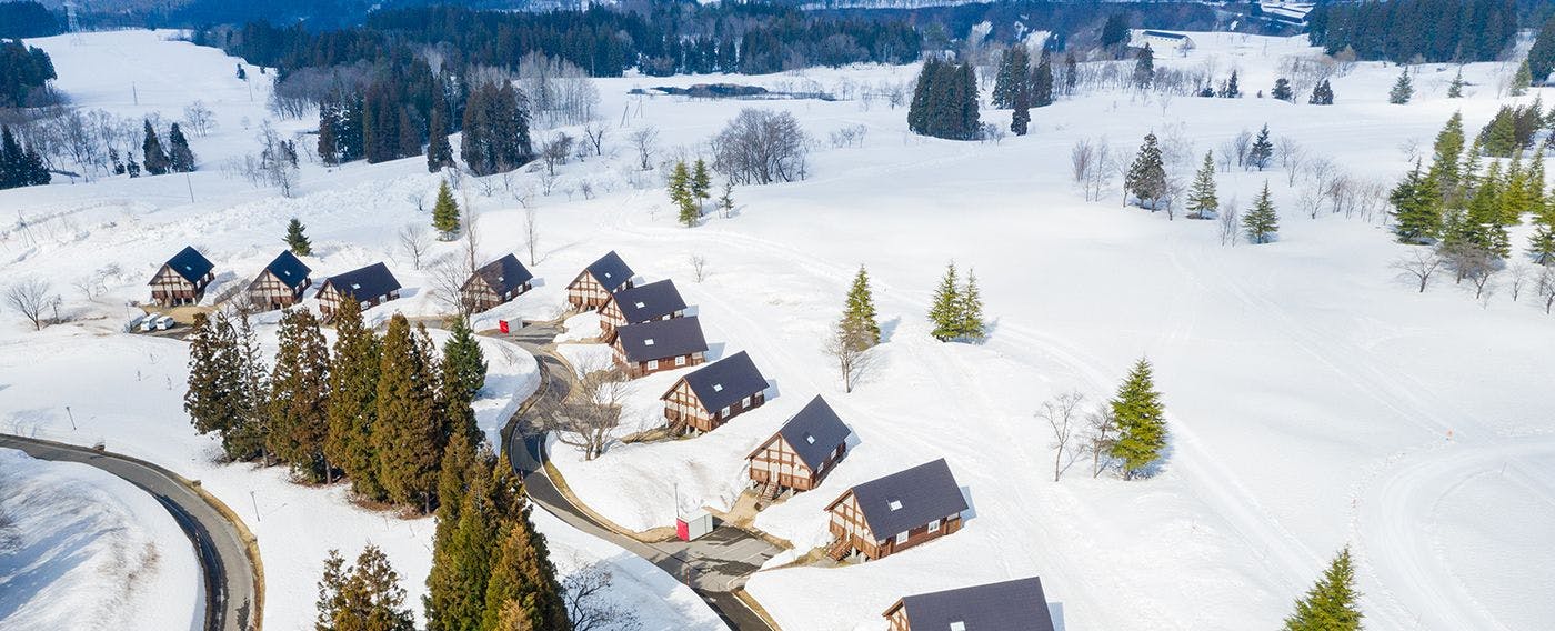 The pure white snow creates a beautiful snow season.